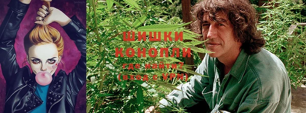 гидропоника Алзамай