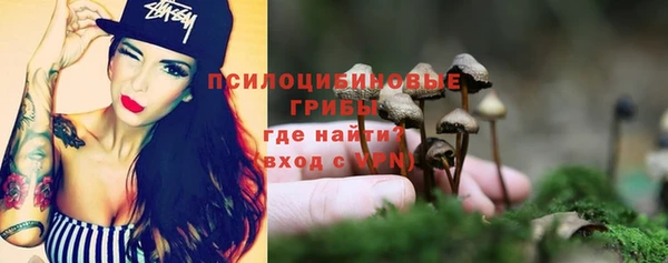 сатива Алексеевка