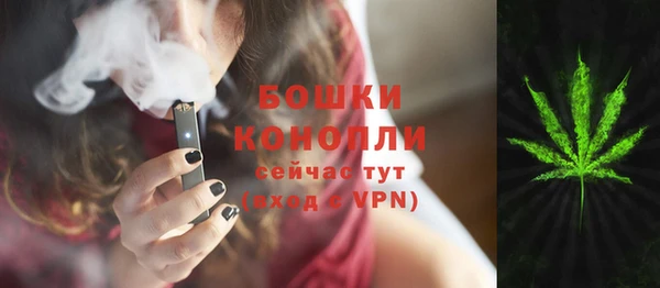 сатива Алексеевка