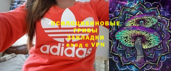 сатива Алексеевка
