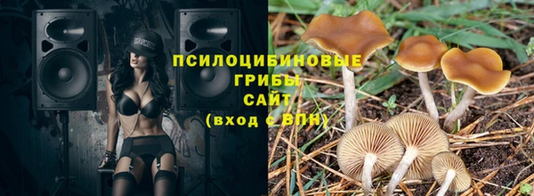 сатива Алексеевка