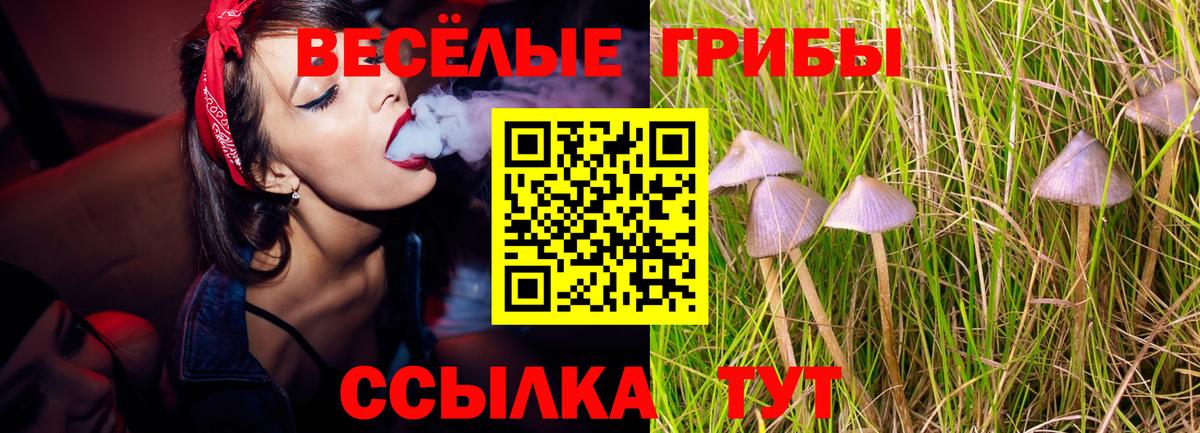Галлюциногенные грибы MAGIC MUSHROOMS  где продают   Вход с VPN  Беслан  Галлюциногенные грибы Psilocybine cubensis 
