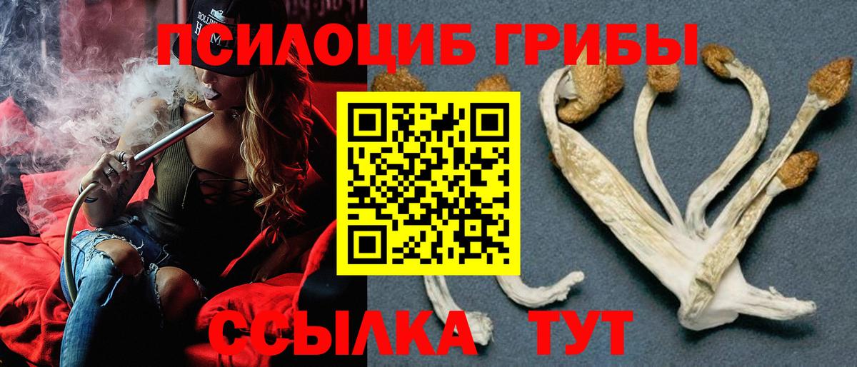 Меф   COCAIN  Вход с VPN  Меф МЯУ МЯУ  ГАШ  ГАШ  Беслан  Канабис 