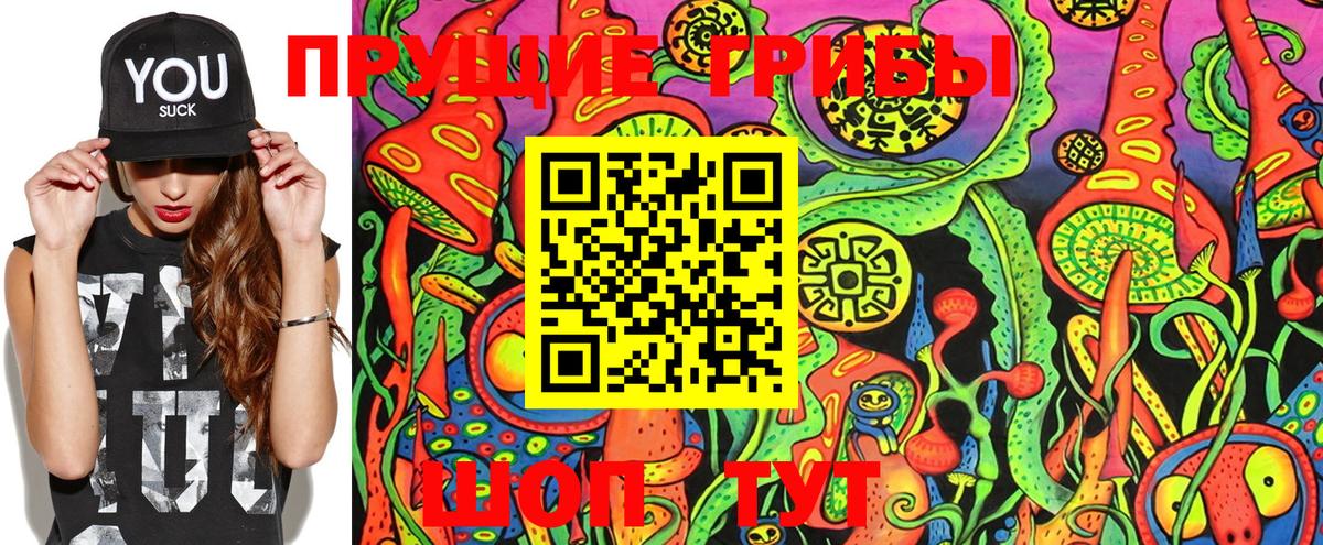 Псилоцибиновые грибы Cubensis  Беслан  Псилоцибиновые грибы мухоморы 